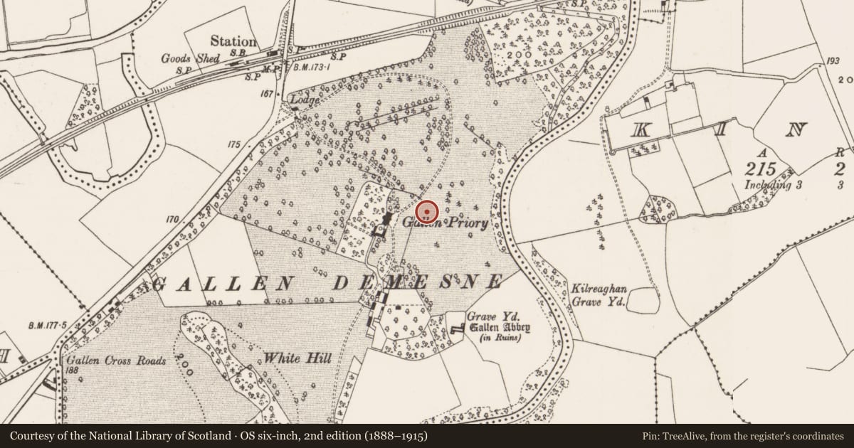 Ordnance Survey six-inch map, 2nd edition (1888–1915) covering the location of Cross-slab, Gallen, County Offaly, with a pin at the register's coordinates