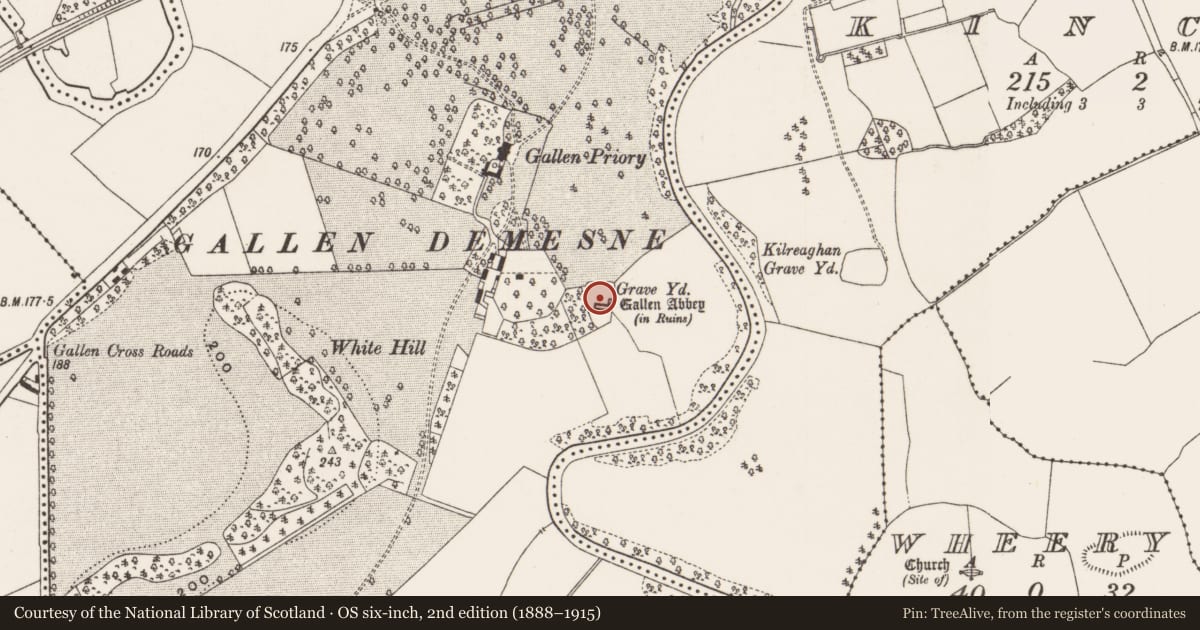 Ordnance Survey six-inch map, 2nd edition (1888–1915) covering the location of Cross-slab, Gallen, County Offaly, with a pin at the register's coordinates