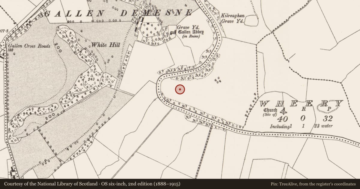 Ordnance Survey six-inch map, 2nd edition (1888–1915) covering the location of Enclosure, Kincora, County Offaly, with a pin at the register's coordinates