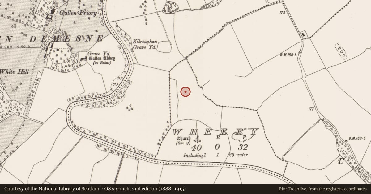 Ordnance Survey six-inch map, 2nd edition (1888–1915) covering the location of Enclosure, Wheery, County Offaly, with a pin at the register's coordinates