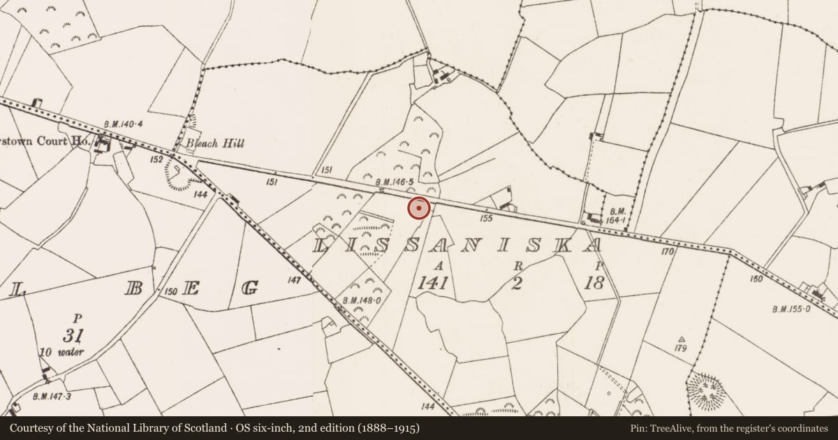Ordnance Survey six-inch map, 2nd edition (1888–1915) covering the location of Enclosure, Lissaniska, County Offaly, with a pin at the register's coordinates