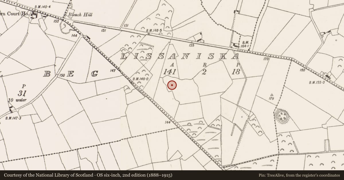 Ordnance Survey six-inch map, 2nd edition (1888–1915) covering the location of Enclosure, Lissaniska, County Offaly, with a pin at the register's coordinates