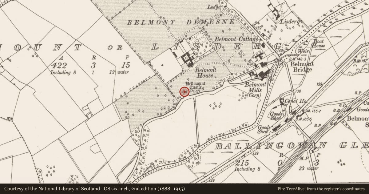 Ordnance Survey six-inch map, 2nd edition (1888–1915) covering the location of Castle - unclassified, Bellmount Or Lisderg, County Offaly, with a pin at the register's coordinates