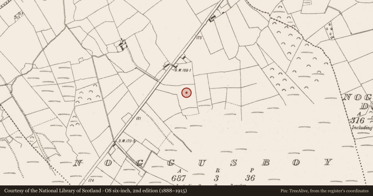 Ordnance Survey six-inch map, 2nd edition (1888–1915) covering the location of Enclosure, Noggusboy, County Offaly, with a pin at the register's coordinates