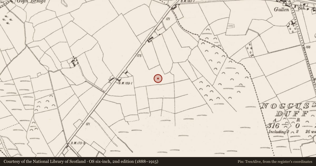 Ordnance Survey six-inch map, 2nd edition (1888–1915) covering the location of Enclosure, Noggusboy, County Offaly, with a pin at the register's coordinates