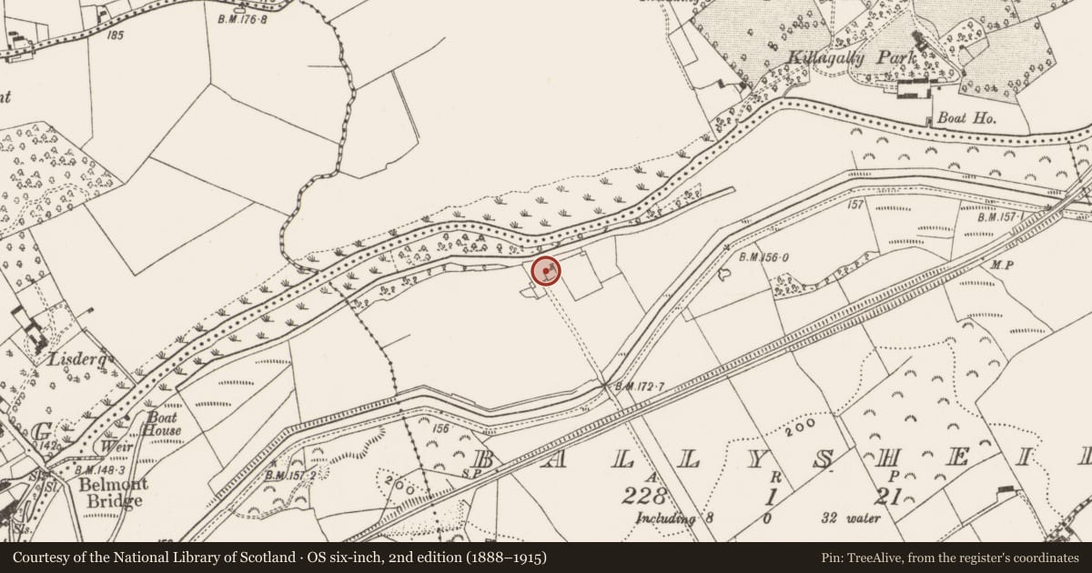 Ordnance Survey six-inch map, 2nd edition (1888–1915) covering the location of House - 17th century, Ballysheil, County Offaly, with a pin at the register's coordinates