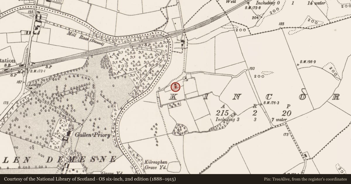 Ordnance Survey six-inch map, 2nd edition (1888–1915) covering the location of Castle - unclassified, Kincora, County Offaly, with a pin at the register's coordinates