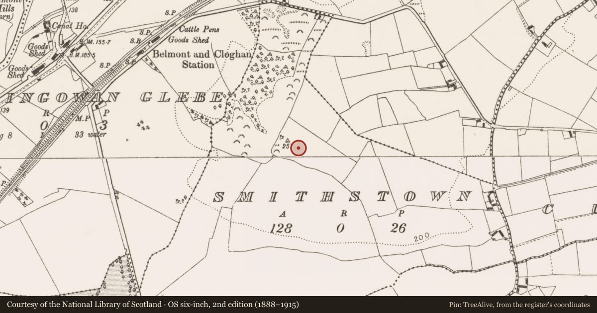 Ordnance Survey six-inch map, 2nd edition (1888–1915) covering the location of Kiln - lime, Smithstown, County Offaly, with a pin at the register's coordinates