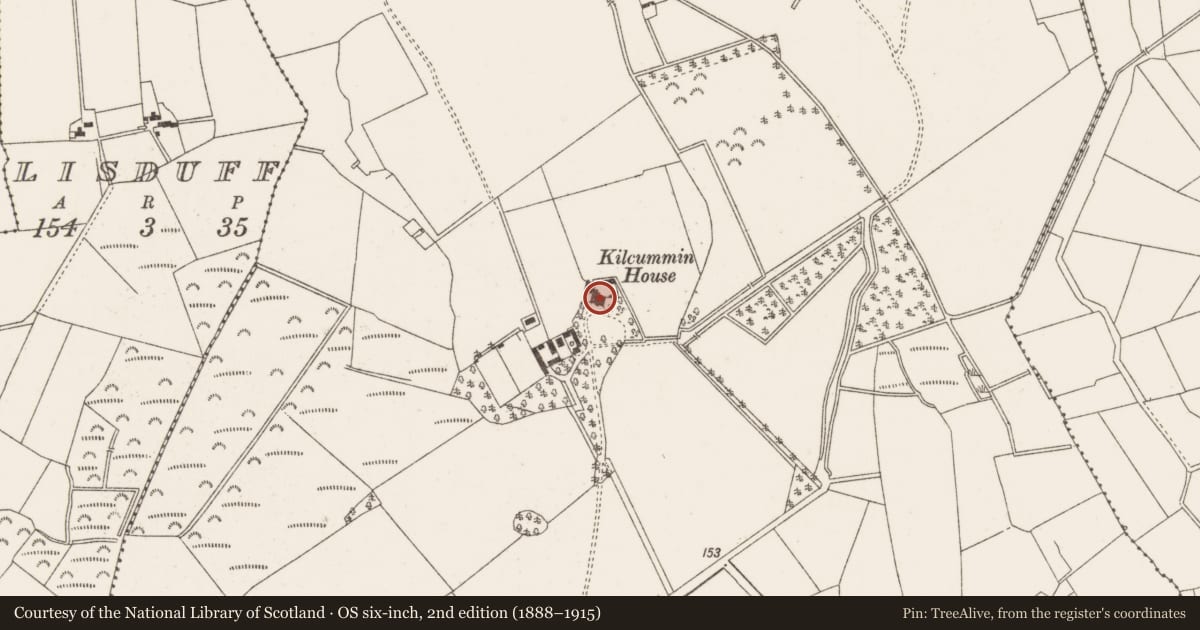 Ordnance Survey six-inch map, 2nd edition (1888–1915) covering the location of Castle - unclassified, Kilcummin, County Offaly, with a pin at the register's coordinates