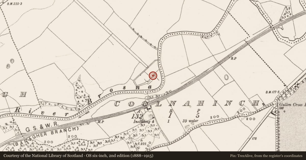 Ordnance Survey six-inch map, 2nd edition (1888–1915) covering the location of Castle - unclassified, Ballyclare, County Offaly, with a pin at the register's coordinates