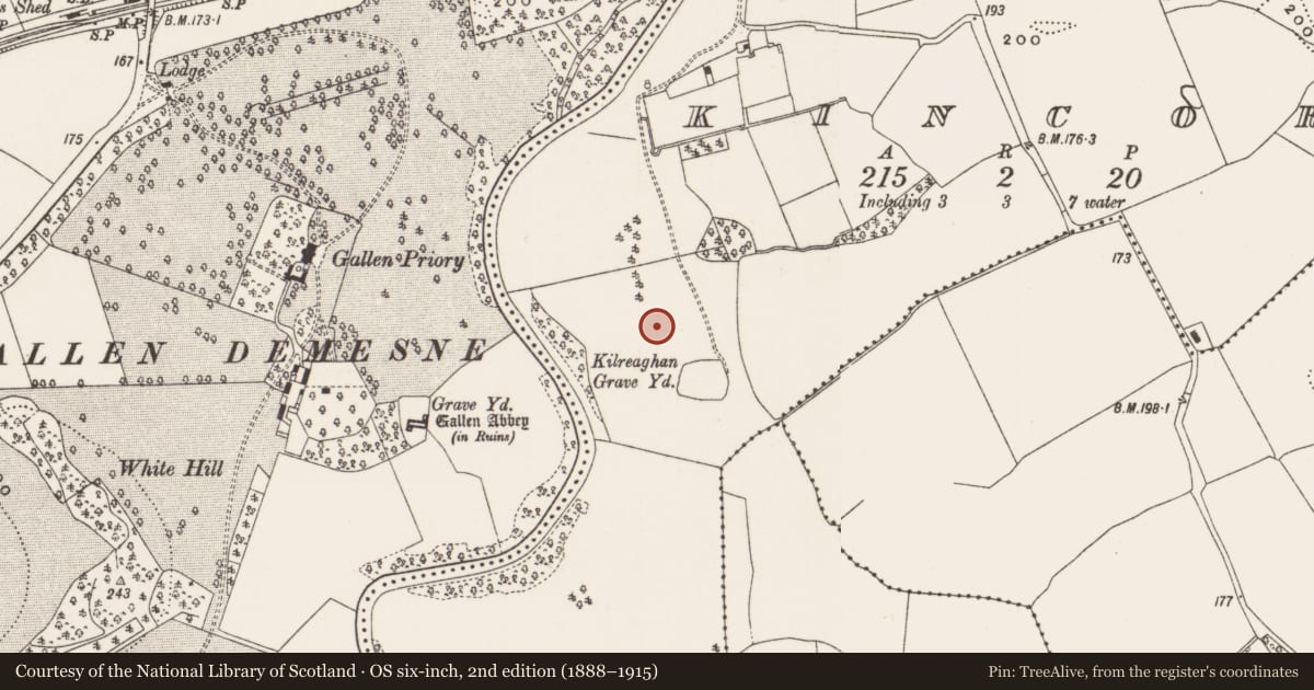 Ordnance Survey six-inch map, 2nd edition (1888–1915) covering the location of Enclosure, Kincora, County Offaly, with a pin at the register's coordinates