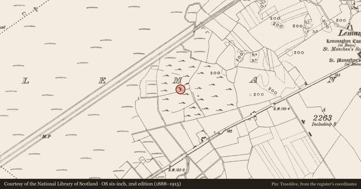 Ordnance Survey six-inch map, 2nd edition (1888–1915) covering the location of Enclosure, Lemanaghan, County Offaly, with a pin at the register's coordinates
