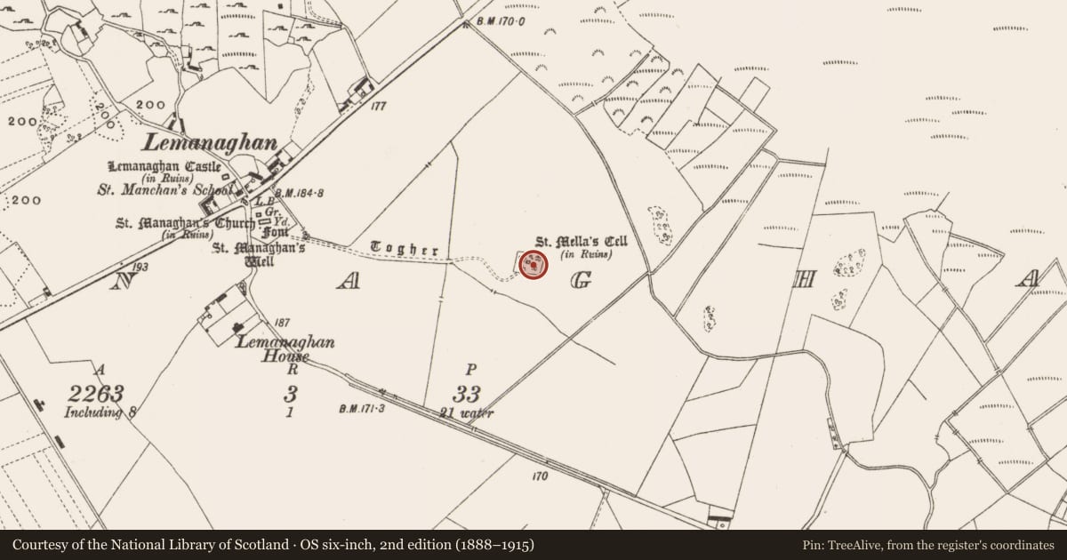 Ordnance Survey six-inch map, 2nd edition (1888–1915) covering the location of Ecclesiastical enclosure, Lemanaghan, County Offaly, with a pin at the register's coordinates