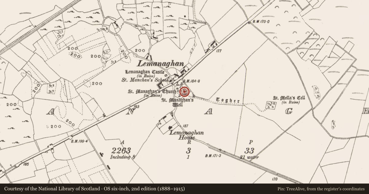 Ordnance Survey six-inch map, 2nd edition (1888–1915) covering the location of Cross-slab, Lemanaghan, County Offaly, with a pin at the register's coordinates