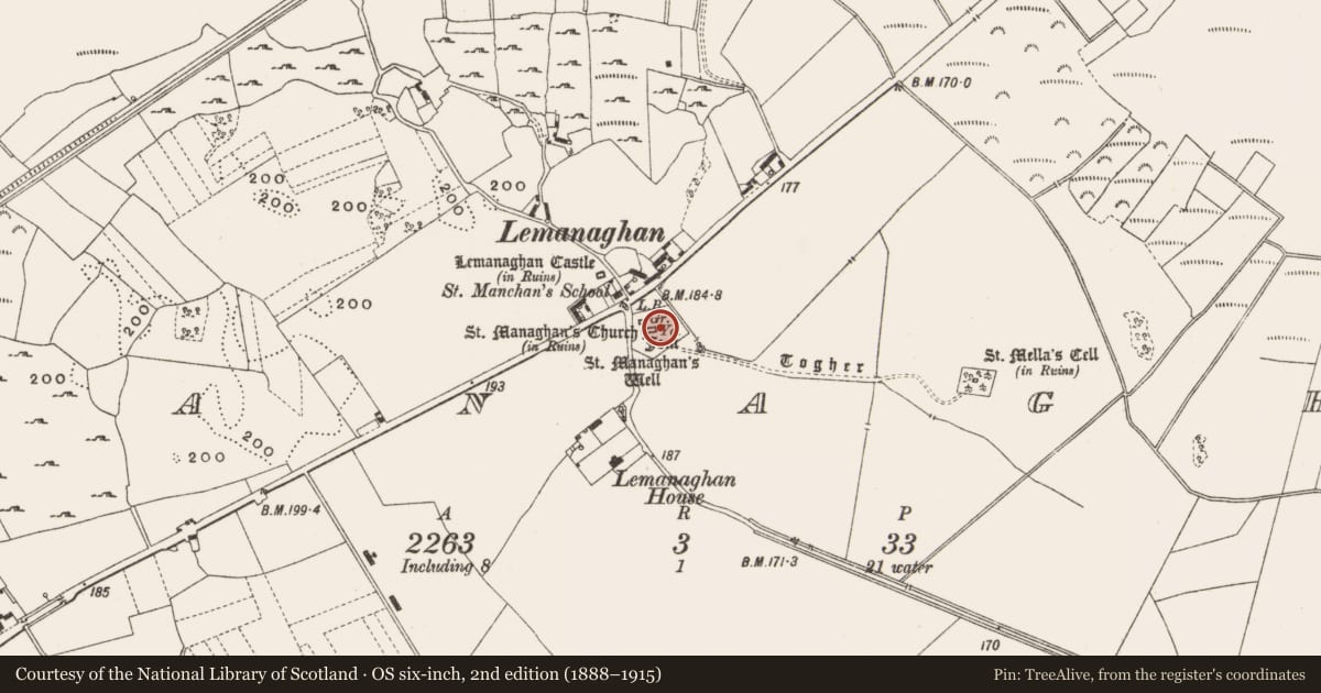 Ordnance Survey six-inch map, 2nd edition (1888–1915) covering the location of Cross-slab, Lemanaghan, County Offaly, with a pin at the register's coordinates