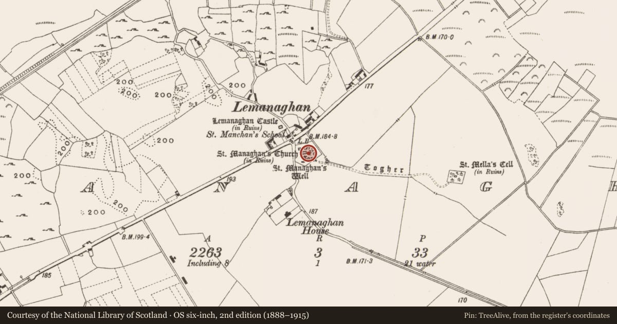 Ordnance Survey six-inch map, 2nd edition (1888–1915) covering the location of Cross-slab, Lemanaghan, County Offaly, with a pin at the register's coordinates