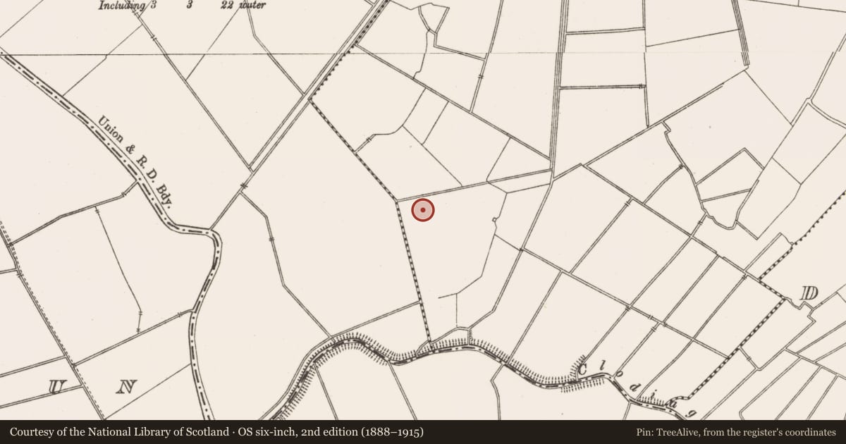 Ordnance Survey six-inch map, 2nd edition (1888–1915) covering the location of Enclosure, Castletown, County Offaly, with a pin at the register's coordinates