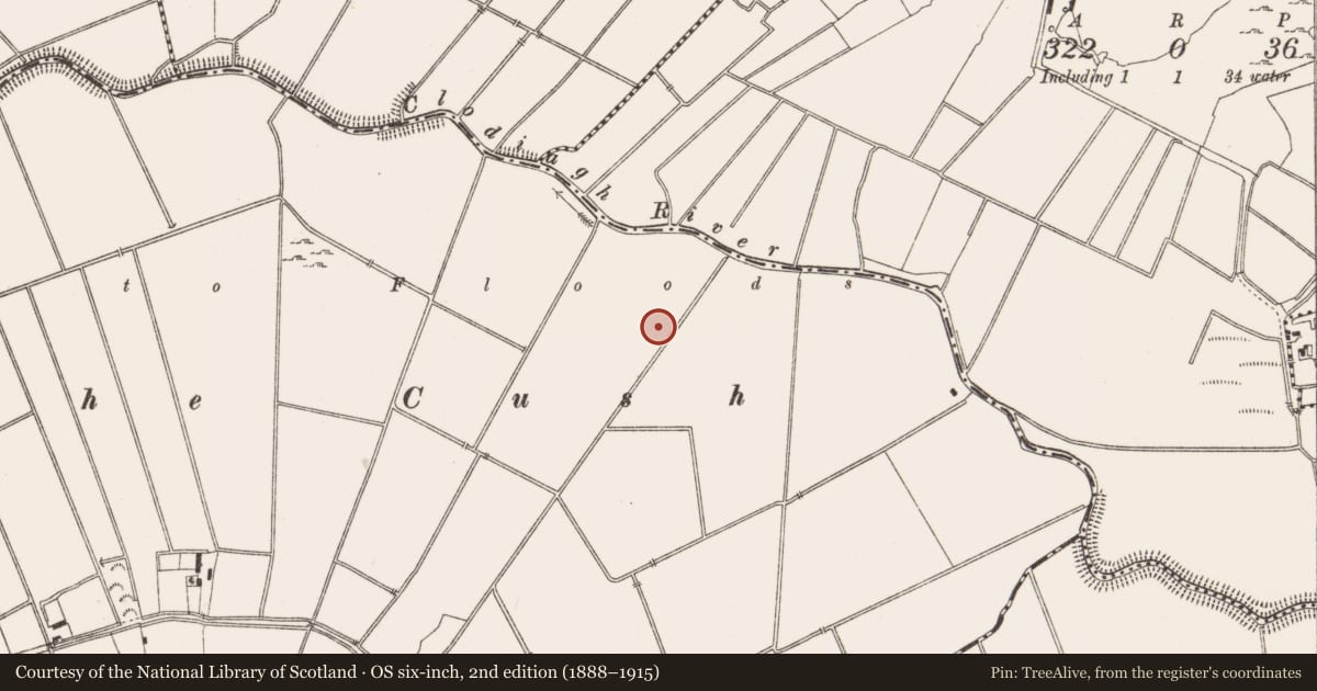 Ordnance Survey six-inch map, 2nd edition (1888–1915) covering the location of Enclosure, Pollagh, County Offaly, with a pin at the register's coordinates