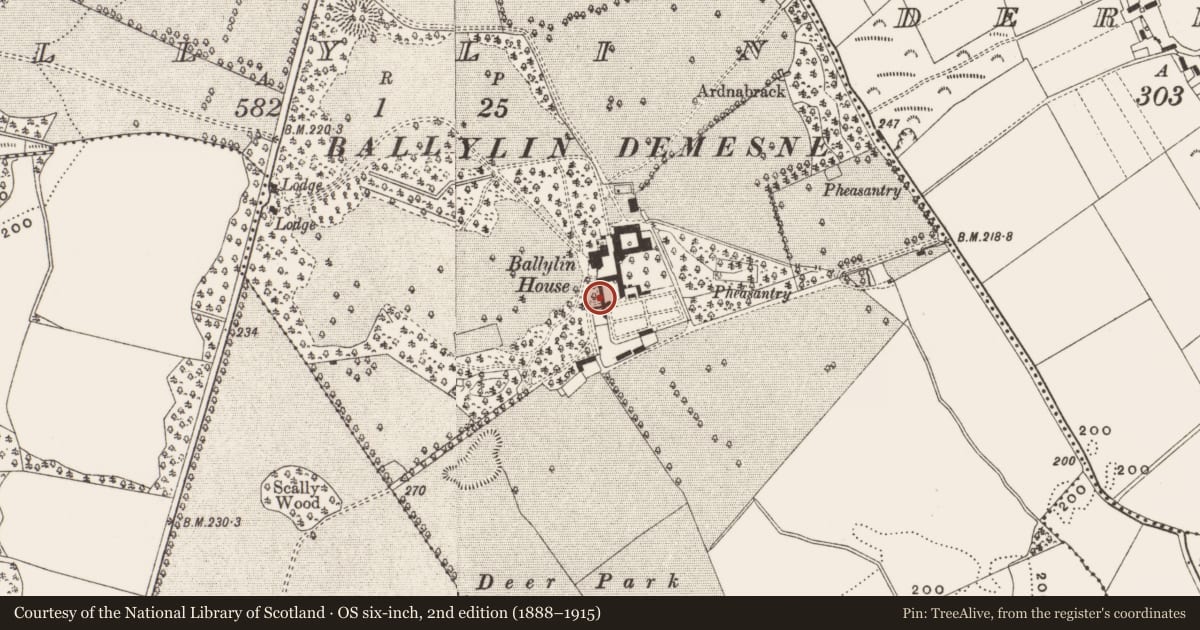 Ordnance Survey six-inch map, 2nd edition (1888–1915) covering the location of Wall monument (present location), Ballylin, County Offaly, with a pin at the register's coordinates