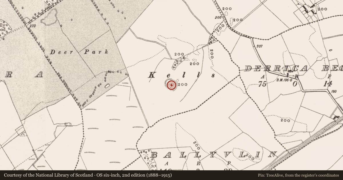 Ordnance Survey six-inch map, 2nd edition (1888–1915) covering the location of Burial ground, Ballylin, County Offaly, with a pin at the register's coordinates