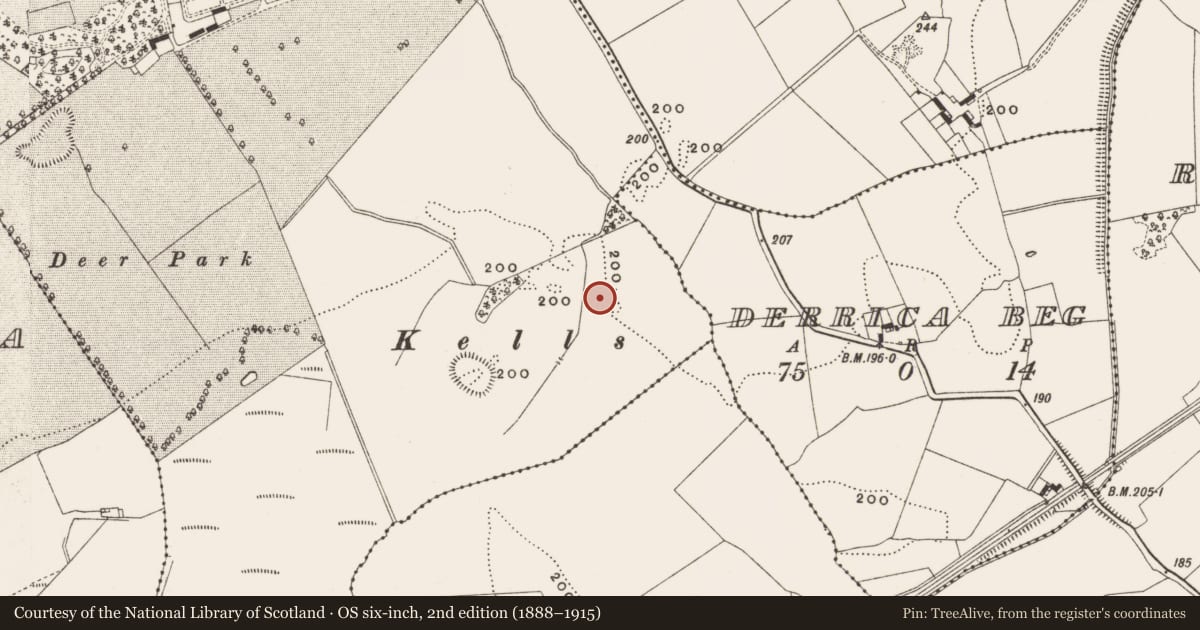 Ordnance Survey six-inch map, 2nd edition (1888–1915) covering the location of Enclosure, Ballylin, County Offaly, with a pin at the register's coordinates