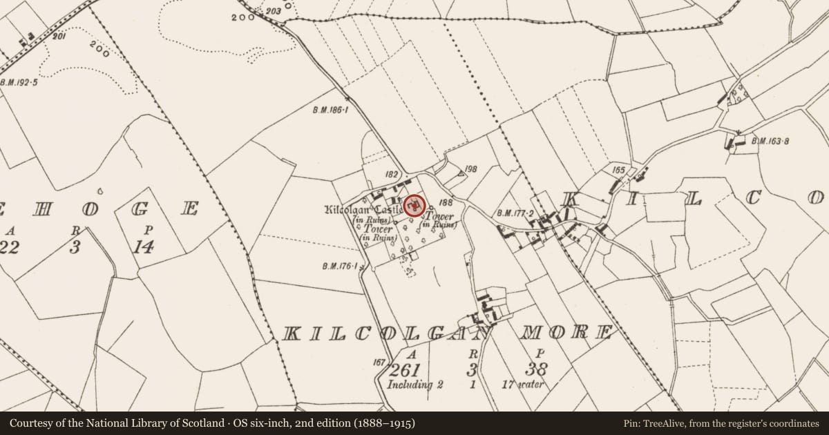 Ordnance Survey six-inch map, 2nd edition (1888–1915) covering the location of House - fortified house, Kilcolgan More, County Offaly, with a pin at the register's coordinates