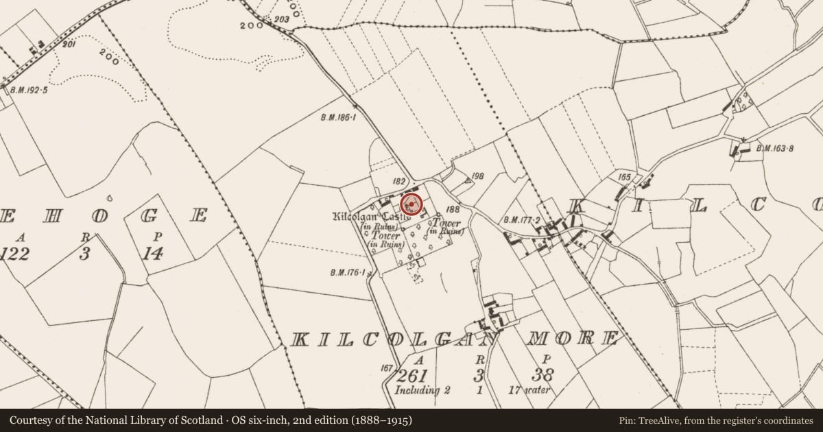 Ordnance Survey six-inch map, 2nd edition (1888–1915) covering the location of Bawn, Kilcolgan More, County Offaly, with a pin at the register's coordinates