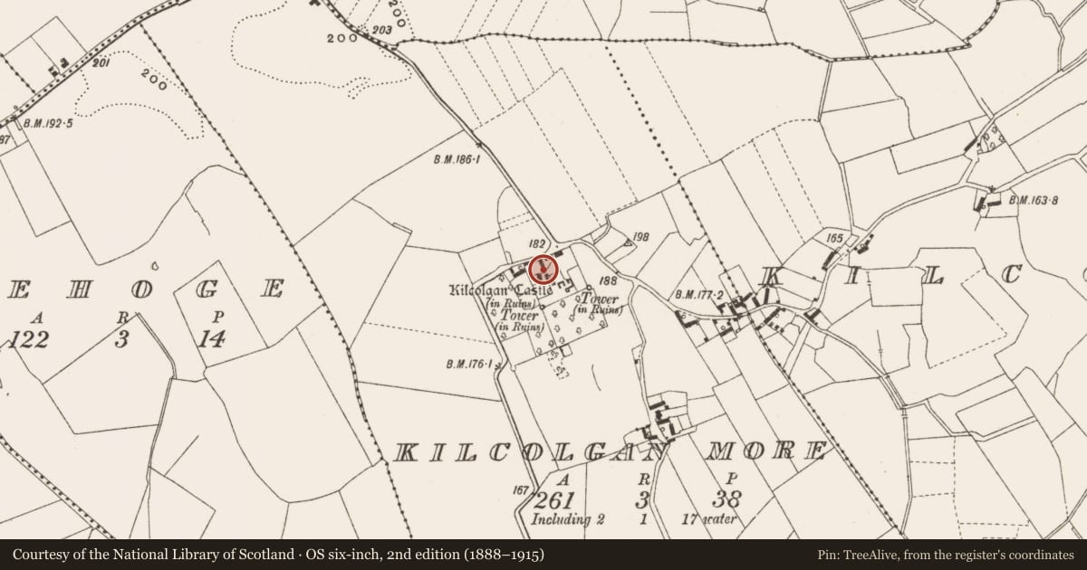Ordnance Survey six-inch map, 2nd edition (1888–1915) covering the location of Well, Kilcolgan More, County Offaly, with a pin at the register's coordinates