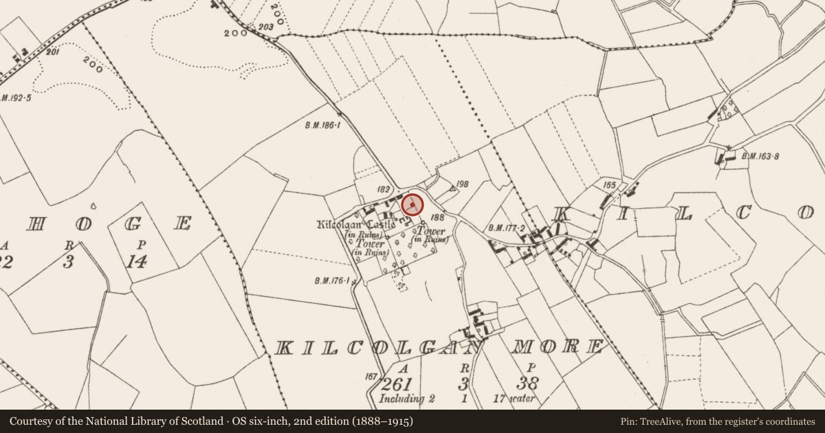 Ordnance Survey six-inch map, 2nd edition (1888–1915) covering the location of Architectural fragment, Kilcolgan More, County Offaly, with a pin at the register's coordinates