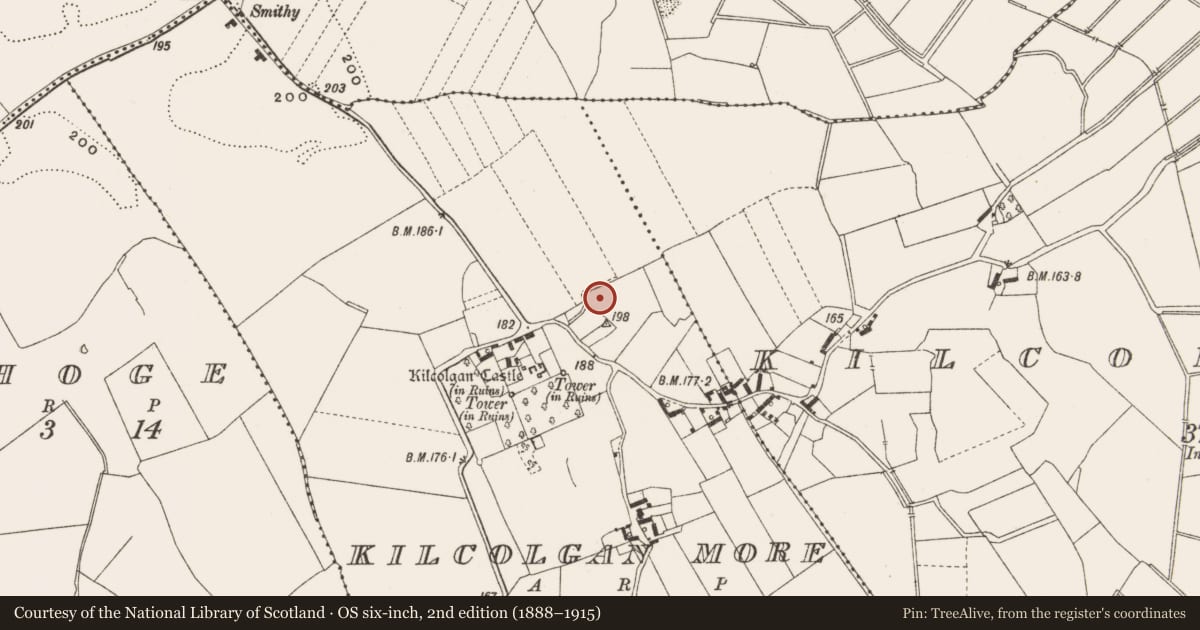 Ordnance Survey six-inch map, 2nd edition (1888–1915) covering the location of Enclosure, Kilcolgan More, County Offaly, with a pin at the register's coordinates