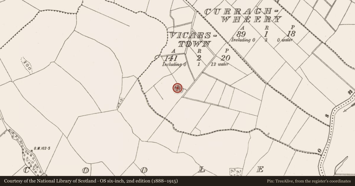 Ordnance Survey six-inch map, 2nd edition (1888–1915) covering the location of Ringfort - rath, Vicarstown, County Offaly, with a pin at the register's coordinates
