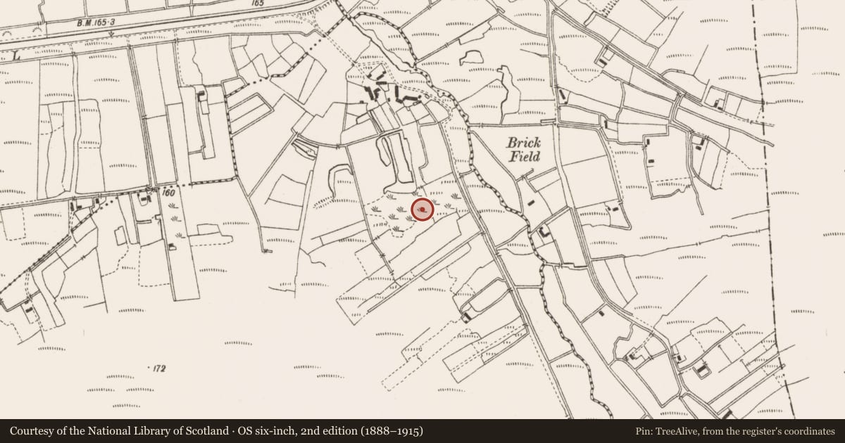 Ordnance Survey six-inch map, 2nd edition (1888–1915) covering the location of Enclosure, Lea More, County Offaly, with a pin at the register's coordinates