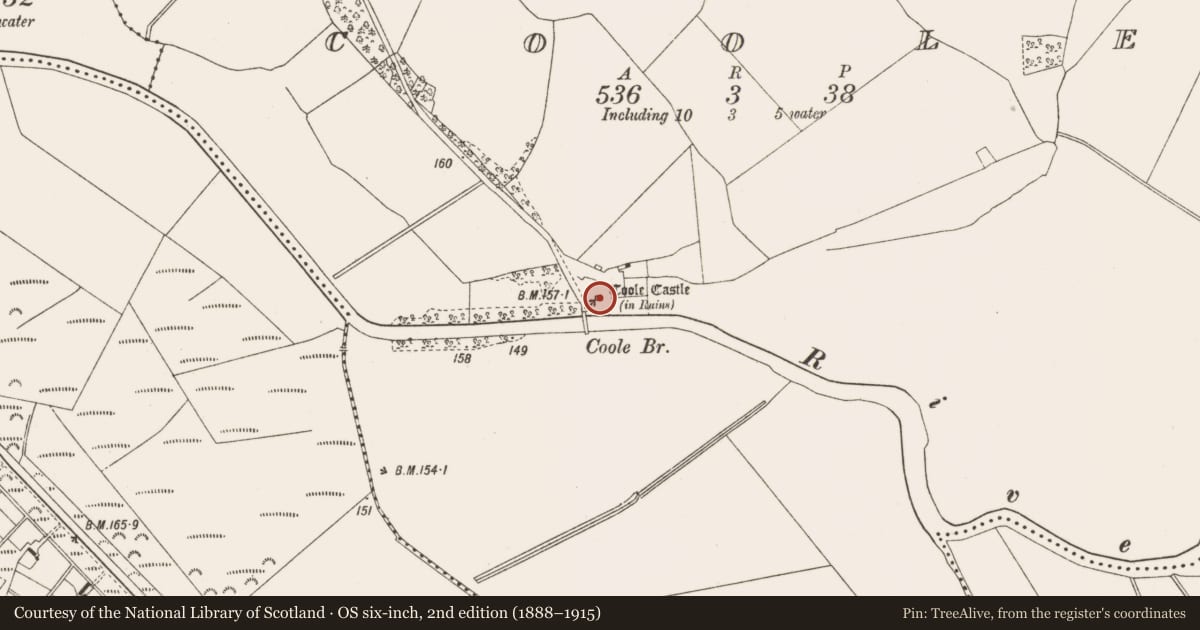 Ordnance Survey six-inch map, 2nd edition (1888–1915) covering the location of Castle - tower house, Coole, County Offaly, with a pin at the register's coordinates