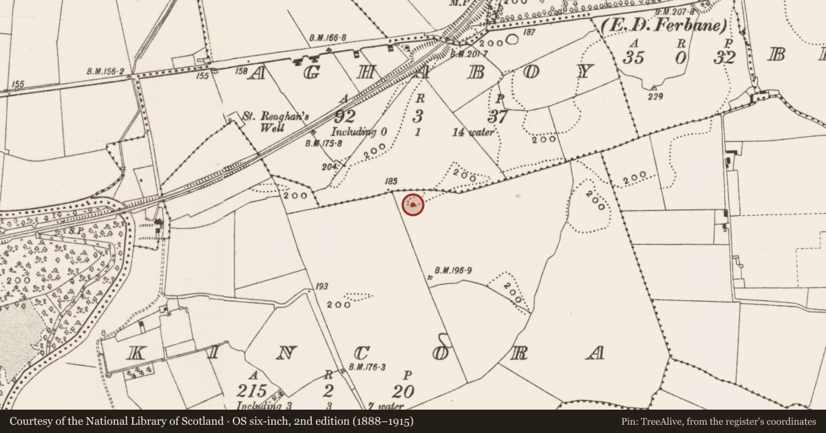 Ordnance Survey six-inch map, 2nd edition (1888–1915) covering the location of Burial mound, Kincora, County Offaly, with a pin at the register's coordinates