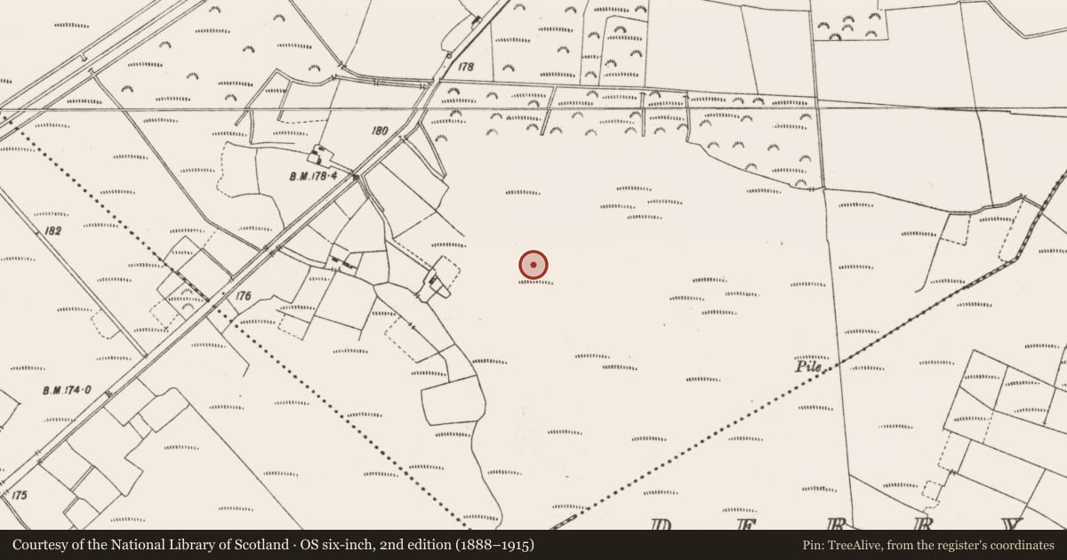 Ordnance Survey six-inch map, 2nd edition (1888–1915) covering the location of Structure - peatland, Leabeg, County Offaly, with a pin at the register's coordinates