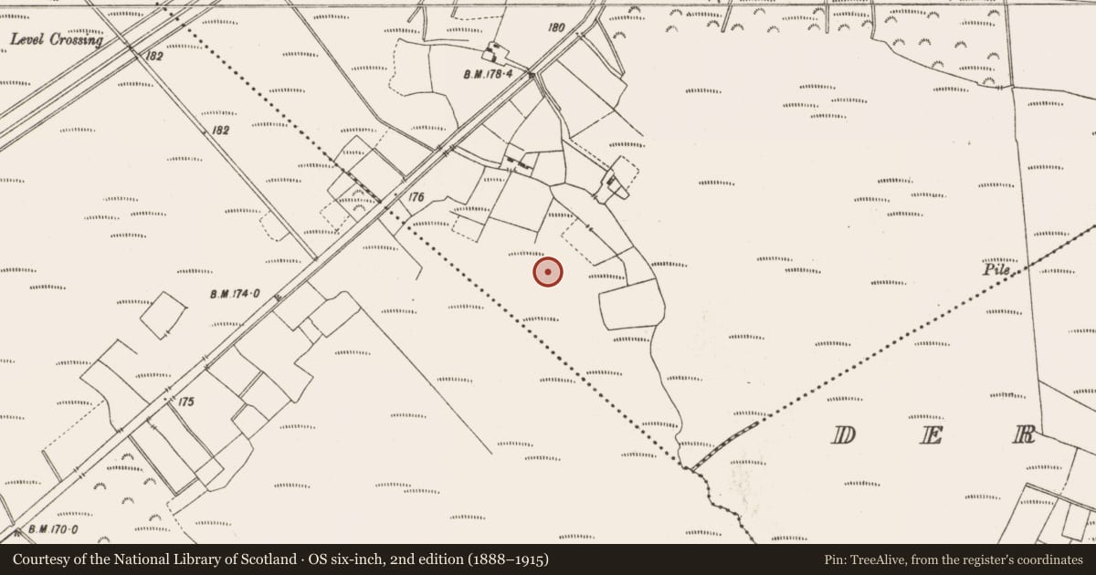 Ordnance Survey six-inch map, 2nd edition (1888–1915) covering the location of Structure - peatland, Leabeg, County Offaly, with a pin at the register's coordinates