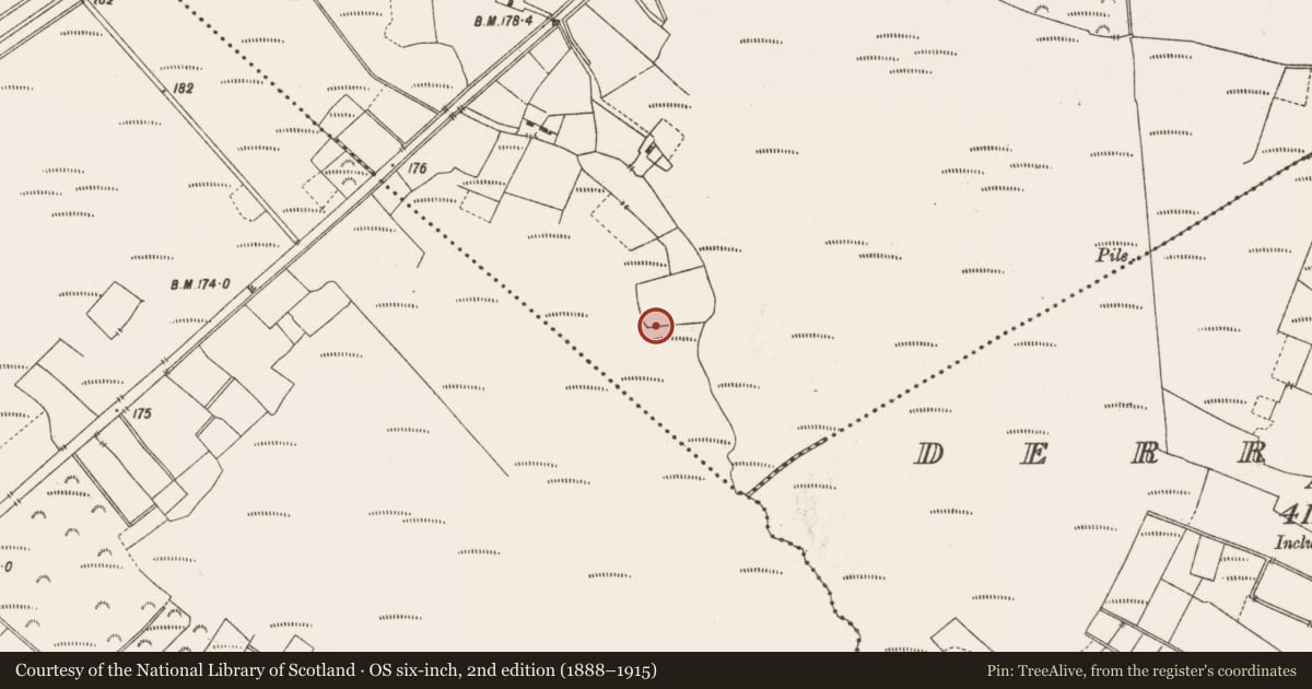 Ordnance Survey six-inch map, 2nd edition (1888–1915) covering the location of Structure - peatland, Leabeg, County Offaly, with a pin at the register's coordinates
