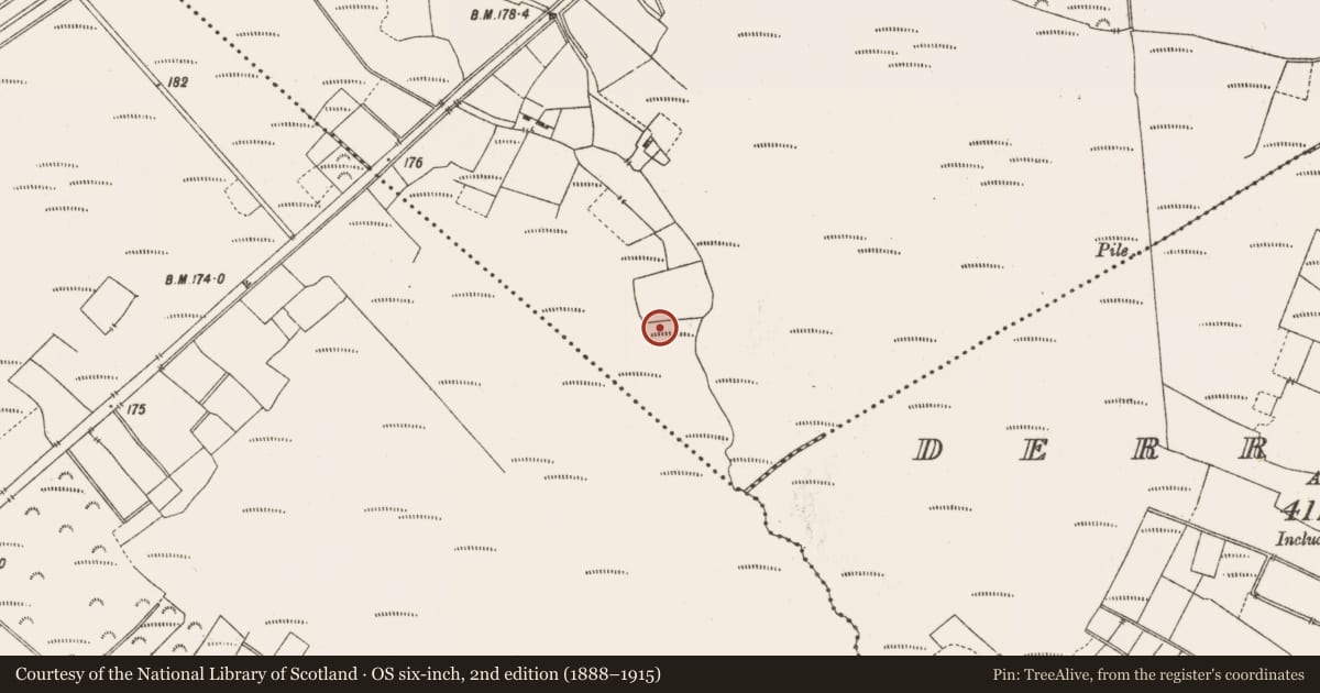 Ordnance Survey six-inch map, 2nd edition (1888–1915) covering the location of Structure - peatland, Leabeg, County Offaly, with a pin at the register's coordinates