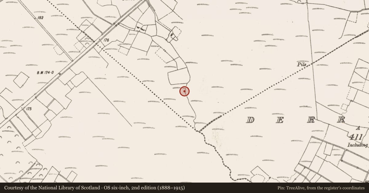 Ordnance Survey six-inch map, 2nd edition (1888–1915) covering the location of Structure - peatland, Leabeg, County Offaly, with a pin at the register's coordinates