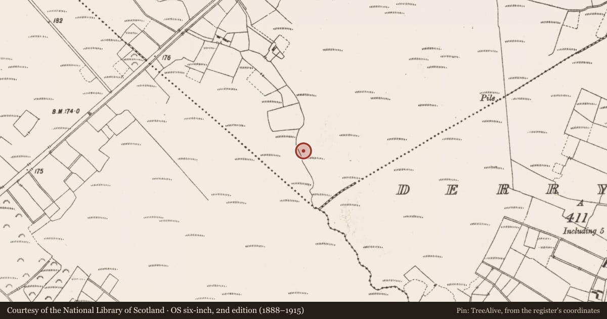 Ordnance Survey six-inch map, 2nd edition (1888–1915) covering the location of Structure - peatland, Leabeg, County Offaly, with a pin at the register's coordinates