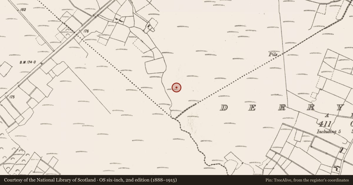 Ordnance Survey six-inch map, 2nd edition (1888–1915) covering the location of Structure - peatland, Leabeg, County Offaly, with a pin at the register's coordinates