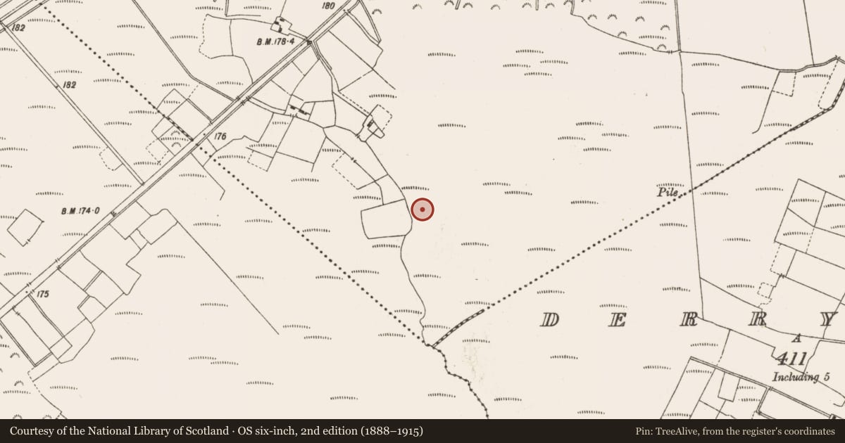 Ordnance Survey six-inch map, 2nd edition (1888–1915) covering the location of Road - class 3 togher, Leabeg, County Offaly, with a pin at the register's coordinates