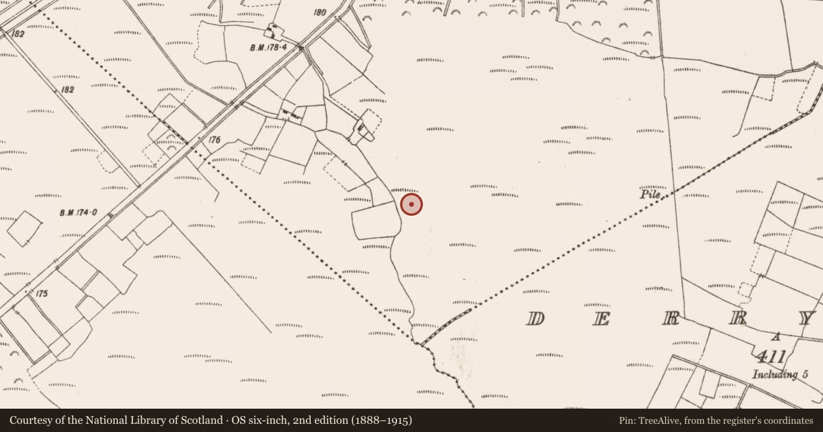 Ordnance Survey six-inch map, 2nd edition (1888–1915) covering the location of Structure - peatland, Leabeg, County Offaly, with a pin at the register's coordinates