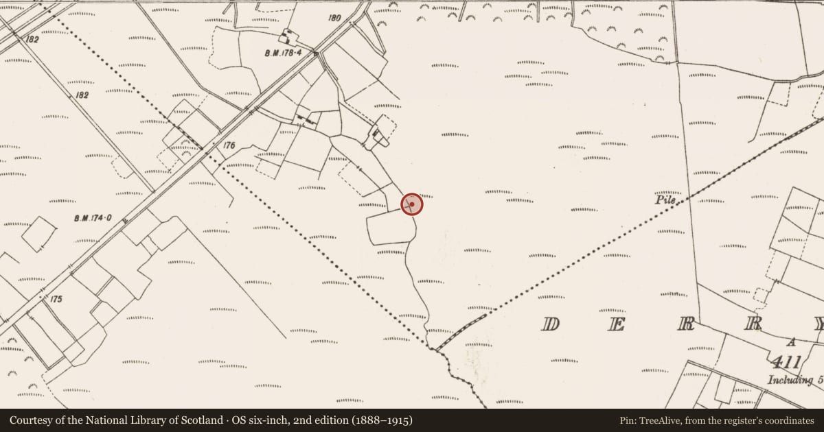 Ordnance Survey six-inch map, 2nd edition (1888–1915) covering the location of Structure - peatland, Leabeg, County Offaly, with a pin at the register's coordinates