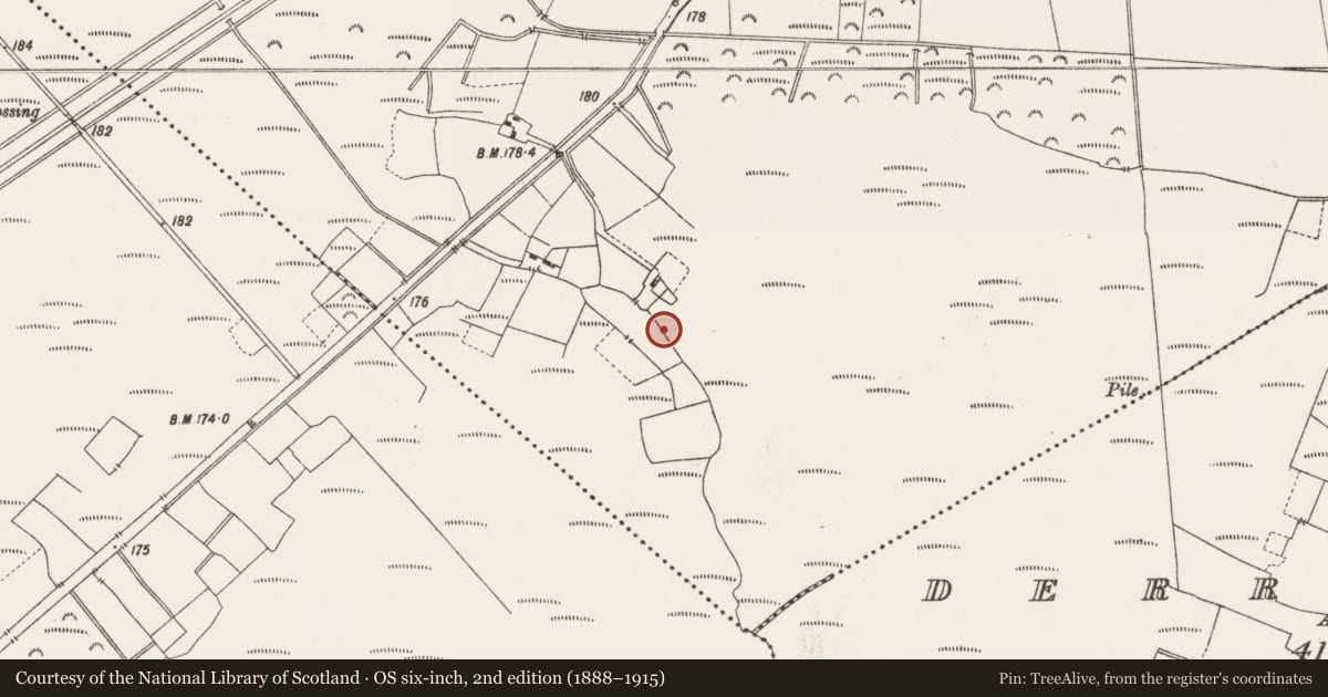 Ordnance Survey six-inch map, 2nd edition (1888–1915) covering the location of Structure - peatland, Leabeg, County Offaly, with a pin at the register's coordinates