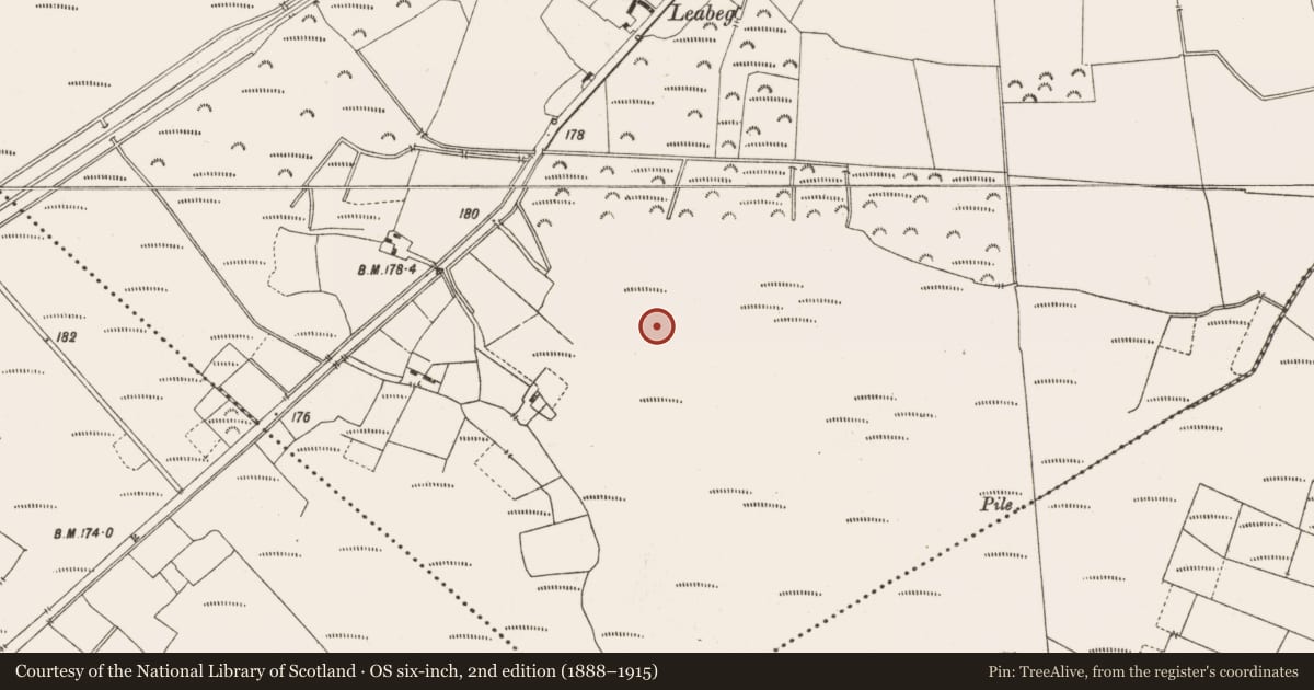 Ordnance Survey six-inch map, 2nd edition (1888–1915) covering the location of Structure - peatland, Leabeg, County Offaly, with a pin at the register's coordinates