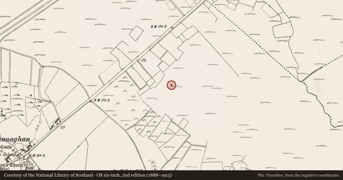 Ordnance Survey six-inch map, 2nd edition (1888–1915) covering the location of Road - class 1 togher, Lemanaghan, County Offaly, with a pin at the register's coordinates