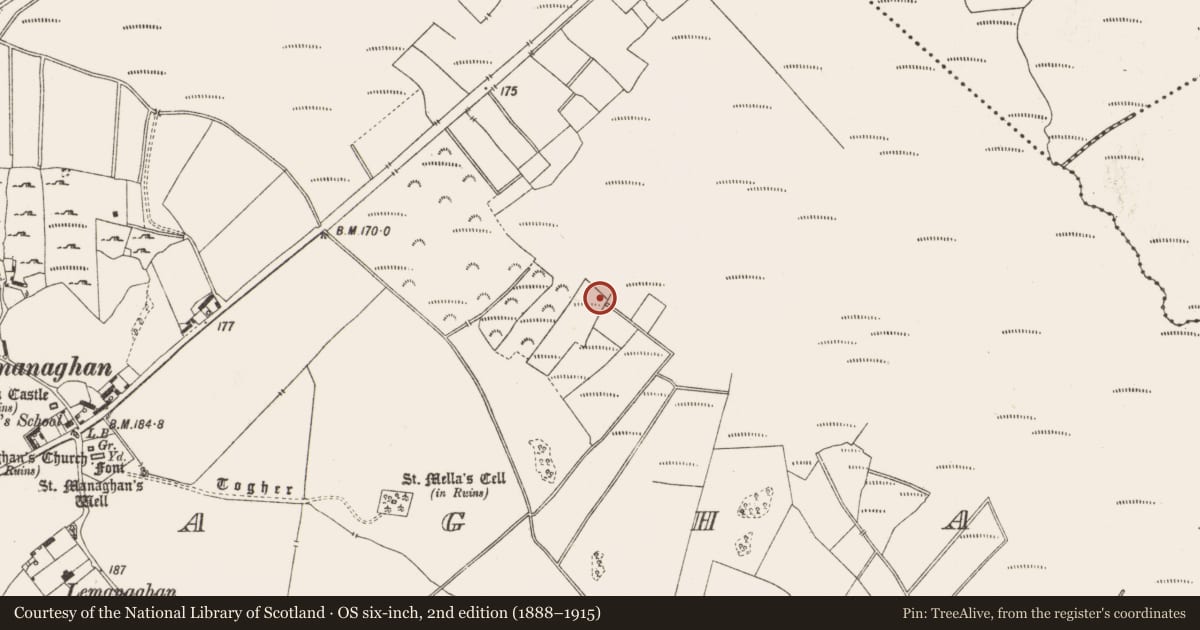 Ordnance Survey six-inch map, 2nd edition (1888–1915) covering the location of Structure - peatland, Lemanaghan, County Offaly, with a pin at the register's coordinates