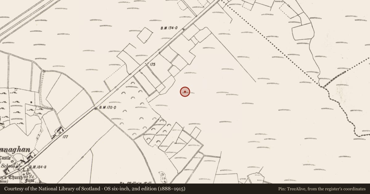 Ordnance Survey six-inch map, 2nd edition (1888–1915) covering the location of Road - class 1 togher, Lemanaghan, County Offaly, with a pin at the register's coordinates