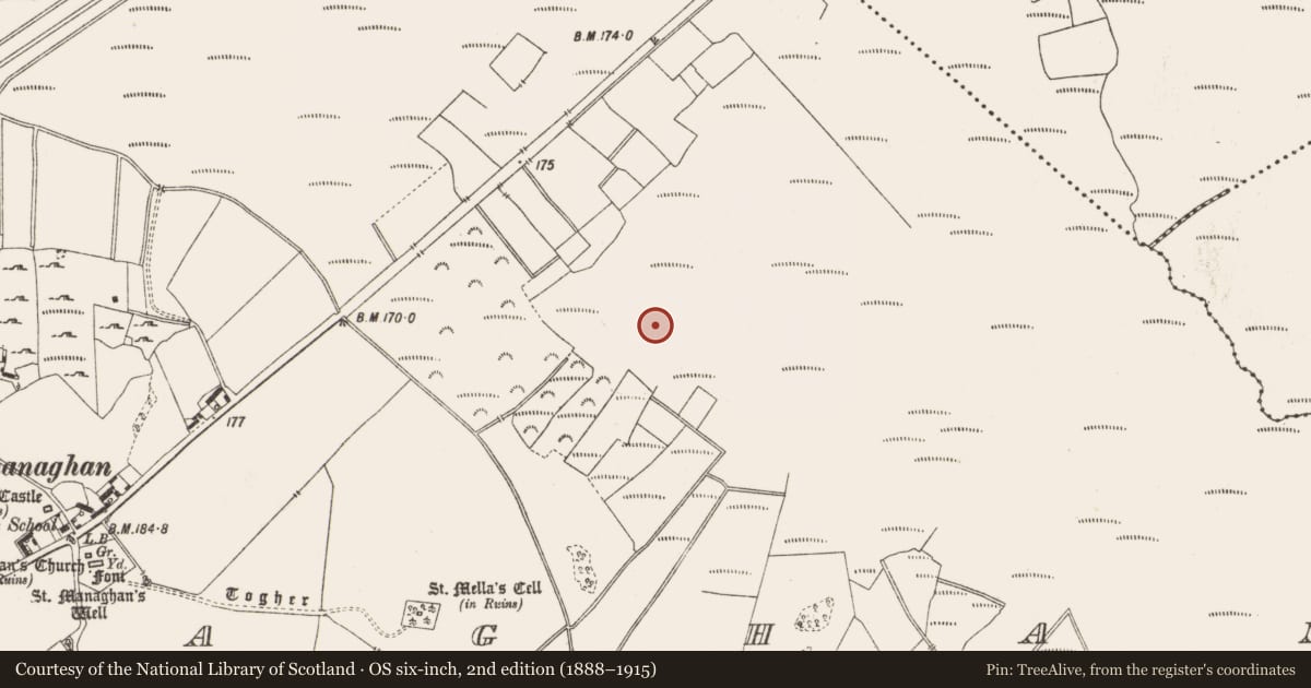 Ordnance Survey six-inch map, 2nd edition (1888–1915) covering the location of Structure - peatland, Lemanaghan, County Offaly, with a pin at the register's coordinates